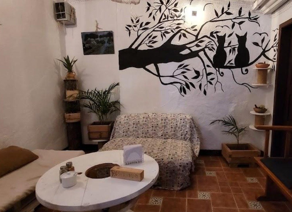 Camila-&-Matt-Trattoria